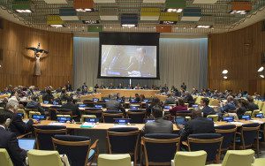 Economic and Social Council on Financing for Development Follow-up