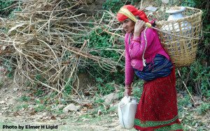 World Environment Day