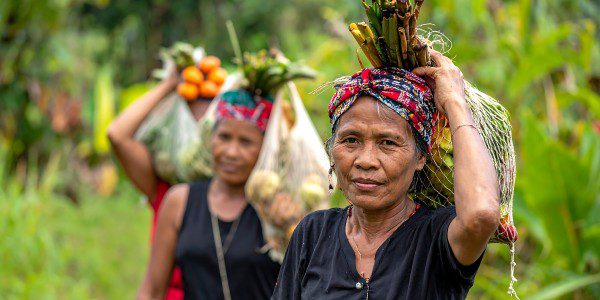 A medium shot of three women walking along a lush, green outdoor path. The woman in the foreground wears a dark top and a colorful patterned headwrap, carrying a large mesh bag of harvested goods over her shoulder. Two other women follow behind her, also carrying produce.